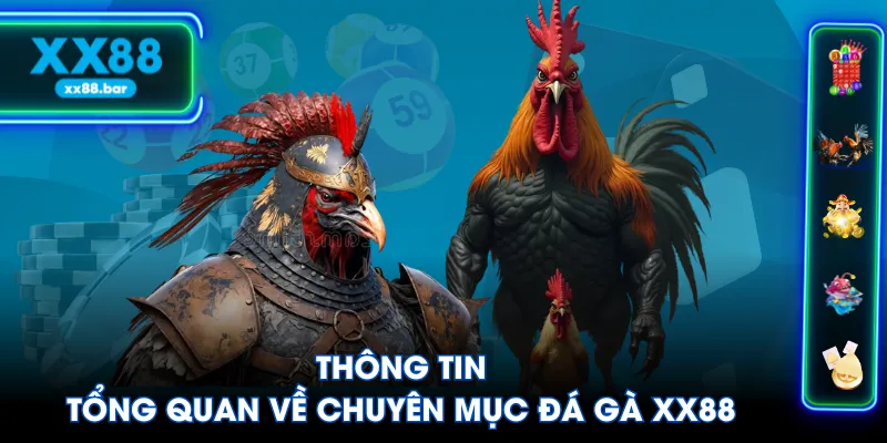 Thông tin tổng quan về chuyên mục Đá Gà XX88